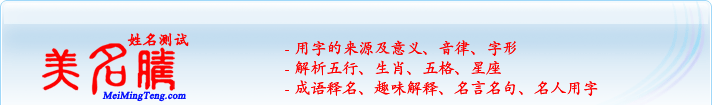 用字的來源及意義、音律、字形；五行、生肖、五格、星座；成語釋名、趣味解釋、名言名句、名人用字