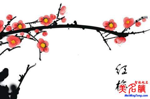 2018梅姓寶寶最詩意、最不凡的名字大全