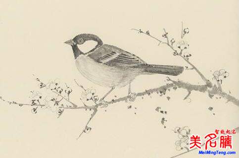 2018梅姓寶寶最詩意、最不凡的名字大全